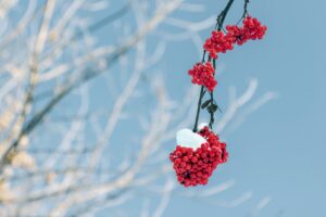 Read more about the article 클러스터용인경남아너스빌모델하우스 직접 방문기